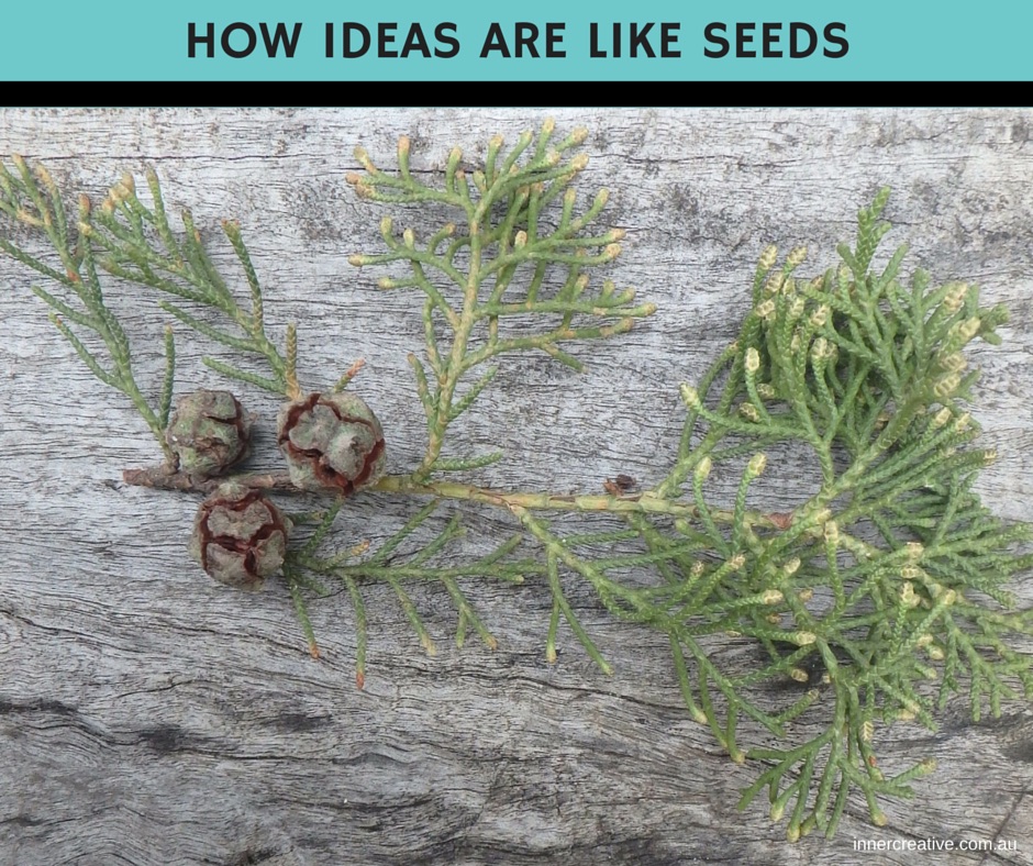 Click to read Inner Creative's blog on How Ideas Are Like Seeds - innercreative.com.au